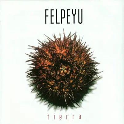 Portada de Tierra