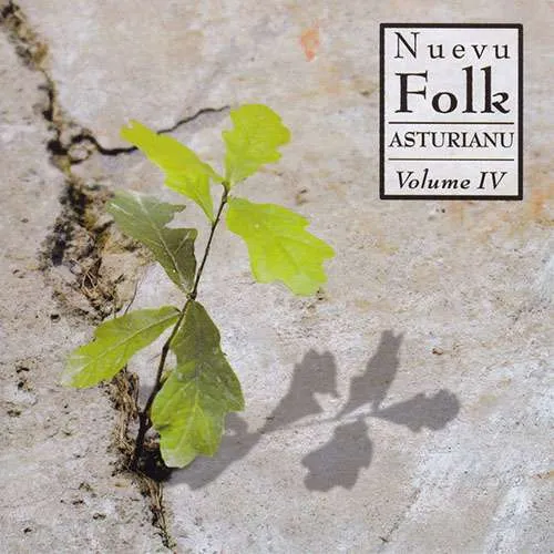 Portada de Nuevu Folk Asturianu vol. 4